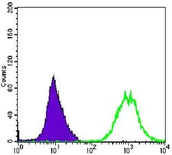 FACS analysis of HeLa cells using GTX60393 alpha Smooth Muscle Actin antibody [1H8]. Green : alpha Smooth Muscle Actin Purple : negative control