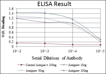 ELISA analysis of antigen using GTX60403 AMPK alpha 1 antibody [2B7]. Red : Control antigen 100ng Purple : Antigen 10ng Green : Antigen 50ng Blue : Antigen 100ng