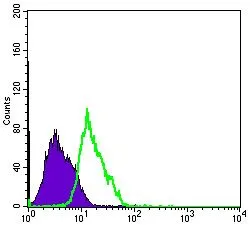 FACS analysis of PC-2 cells using GTX60408 Musashi 1 antibody [2A12]. Green : Musashi 1 Purple : negative control