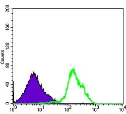 FACS analysis of RAJI cells using GTX60416 CD1a antibody [6H3]. Green : CD1a Purple : negative control
