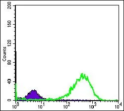 FACS analysis of HeLa cells using GTX60424 HSP60 antibody [3G8]. Green : HSP60 Purple : negative control