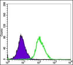 FACS analysis of HeLa cells using GTX60425 ERK3 antibody [4E8]. Green : ERK3 Purple : negative control