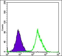 FACS analysis of HeLa cells using GTX60438 FUK antibody [6E2]. Green : FUK Purple : negative control