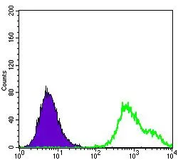 FACS analysis of HepG2 cells using GTX60444 HSP27 antibody [5D7]. Green : HSP27 Purple : negative control