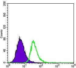 FACS analysis of HepG2 cells using GTX60446 Apolipoprotein E antibody [1H4]. Green : Apolipoprotein E Purple : negative control