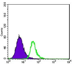 FACS analysis of HepG2 cells using GTX60447 ABCG2 antibody [3G8]. Green : ABCG2 Purple : negative control