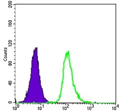 FACS analysis of HepG2 cells using GTX60451 SMN1 antibody [2F1]. Green : SMN1 Purple : negative control
