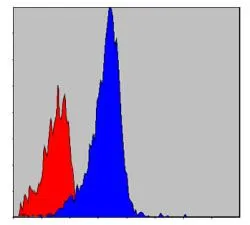 FACS analysis of NIH3T3 cells using GTX60462 CrkL antibody [5E12]. Blue : CrkL Red : negative control