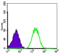 FACS analysis of NIH3T3 cells using GTX60463 BLNK antibody [5G9]. Green : BLNK Purple : negative control