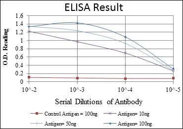 ELISA analysis of antigen using GTX60466 alpha Smooth Muscle Actin antibody [4A4]. Red : Control antigen 100ng Purple : Antigen 10ng Green : Antigen 50ng Blue : Antigen 100ng