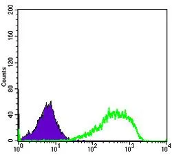 FACS analysis of HeLa cells using GTX60468 Ku80 antibody [5C5]. Green : Ku80 Purple : negative control