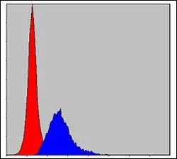 FACS analysis of MCF-7 cells using GTX60487 CRK antibody [3G11C1]. Blue : CRK Red : negative control