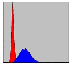 FACS analysis of HeLa cells using GTX60491 MCM2 antibody [2B3]. Blue : MCM2 Red : negative control