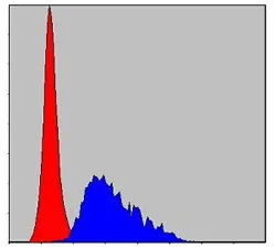 FACS analysis of HepG2 cells using GTX60502 Fibrinogen gamma antibody [4H9]. Blue : Fibrinogen gamma Red : negative control
