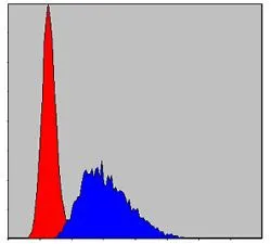 FACS analysis of NIH3T3 cells using GTX60510 Caspase 8 antibody [1H11]. Blue : Caspase 8 Red : negative control