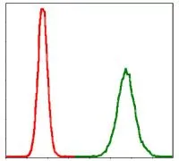 WB analysis of human PPP2R4 (AA: 1-154) recombinant protein using GTX60539 PPP2R4 antibody [4D9].