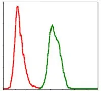FACS analysis of HeLa cells using GTX60547 SKP1 antibody [1H9]. Green : SKP1 Red : negative control