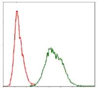 FACS analysis of HeLa cells using GTX60548 Ubiquitin B antibody [3C12]. Green : Ubiquitin B Red : negative control