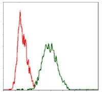 FACS analysis of HeLa cells using GTX60556 Raf1 antibody [4G4]. Green : Raf1 Red : negative control
