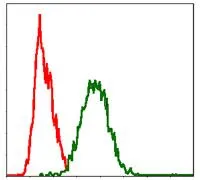 FACS analysis of HeLa cells using GTX60557 Fas antibody [4F8H6]. Green : Fas Red : negative control