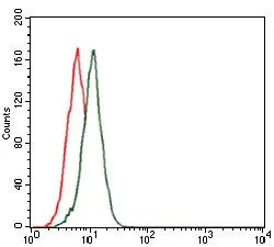 FACS analysis of HeLa cells using GTX60571 Fibronectin antibody [2F4G2]. Green : Fibronectin Red : negative control