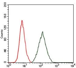 FACS analysis of A431 cells using GTX60585 RAP1A antibody [5F8]. Green : RAP1A Red : negative control
