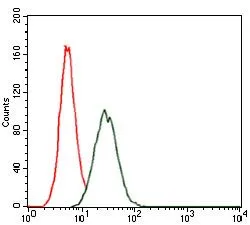 FACS analysis of HeLa cells using GTX60586 RAP1A antibody [5F8G2]. Green : RAP1A Red : negative control