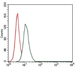 FACS analysis of HeLa cells using GTX60588 HAS3 antibody [3C9]. Green : HAS3 Red : negative control