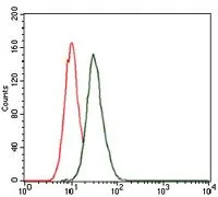 FACS analysis of HeLa cells using GTX60594 LC3B antibody [5H12]. Green : LC3B Red : negative control