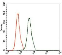 FACS analysis of HeLa cells using GTX60600 JNK1 antibody [1E5]. Green : JNK1 Red : negative control