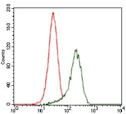 FACS analysis of HeLa cells using GTX60606 Shh antibody [5H4]. Green : Shh Red : negative control