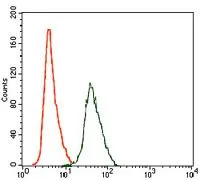 FACS analysis of HeLa cells using GTX60618 Rho GDI alpha antibody [2G3]. Green : Rho GDI alpha Red : negative control