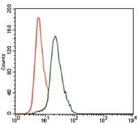 FACS analysis of HeLa cells using GTX60622 Cytokeratin 13 antibody [3G4]. Green : Cytokeratin 13 Red : negative control