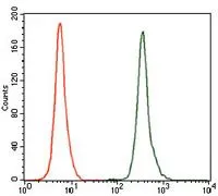 FACS analysis of K562 cells using GTX60623 GCNF antibody [4G8]. Green : GCNF Red : negative control