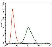 FACS analysis of NIH3T3 cells using GTX60627 PLK1 antibody [3C11]. Green : PLK1 Red : negative control