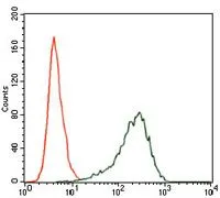 FACS analysis of HepG2 cells using GTX60628 SRY antibody [1G4]. Green : SRY Red : negative control