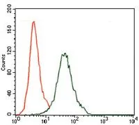 FACS analysis of Jurkat cells using GTX60631 CD5 antibody [6A11]. Green : CD5 Red : negative control