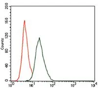 FACS analysis of NIH3T3 cells using GTX60639 RUNX3 antibody [2B3]. Green : RUNX3 Red : negative control