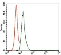 FACS analysis of A549 cells using GTX60656 Splunc2 antibody [4C7D7]. Green : human Splunc2 Red : negative control