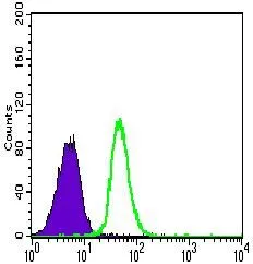 FACS analysis of Jurkat cells using GTX60676 VE-Cadherin antibody [3D5C7]. Green : VE-Cadherin Purple : negative control
