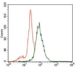 FACS analysis of SK-N-SH cells using GTX60688 SLC27A5 antibody [4B11C10]. Green : SLC27A5 Purple : negative control