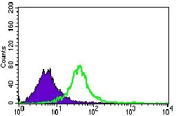FACS analysis of Jurkat cells using GTX60706 Nucleostemin antibody [2C8D5]. Green : Nucleostemin Purple : negative control