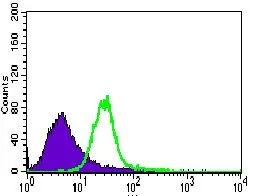FACS analysis of HeLa cells using GTX60708 TRAFD1 antibody [8E6E7]. Green : TRAFD1 Purple : negative control