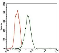 FACS analysis of HEK293 cells using GTX60720 Fc epsilon R1 alpha antibody [1F2A9]. Green : Fc epsilon R1 alpha Red : negative control