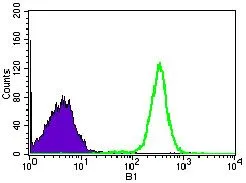 FACS analysis of HEK293 cells using GTX60733 WHSC2 antibody [6B11H8]. Green : WHSC2 Purple : negative control