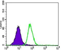 FACS analysis of A549 cells using GTX60736 Integrin beta 4 antibody [10B10D5]. Green : Integrin beta 4 Purple : negative control
