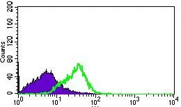 FACS analysis of HEK293 cells using GTX60740 DNAL4 antibody [3B7B7]. Green : DNAL4 Purple : negative control