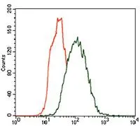 FACS analysis of HeLa cells using GTX60749 Cytokeratin 5 antibody [2C2B4]. Green : Cytokeratin 5 Red : negative control