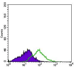 FACS analysis of HL60 cells using GTX60763 CD41 antibody [2E10C9]. Green : CD41 Purple : negative control