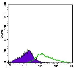 FACS analysis of HL60 cells using GTX60764 CD41 antibody [2E10C9]. Green : CD41 Purple : negative control